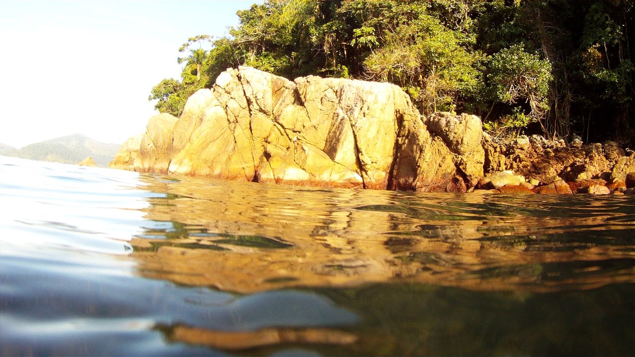 Expedição Tartaruga Marinha, Ubatuba, SP, Brasil, 2017, mares, praias, apneia contemplativa, ap
