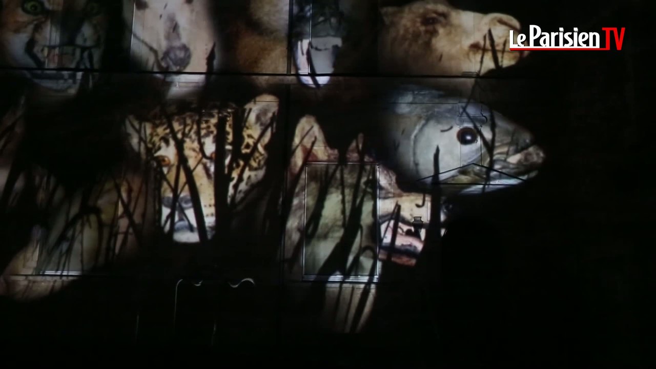 La Nuit des Chimères émerveille Le Mans