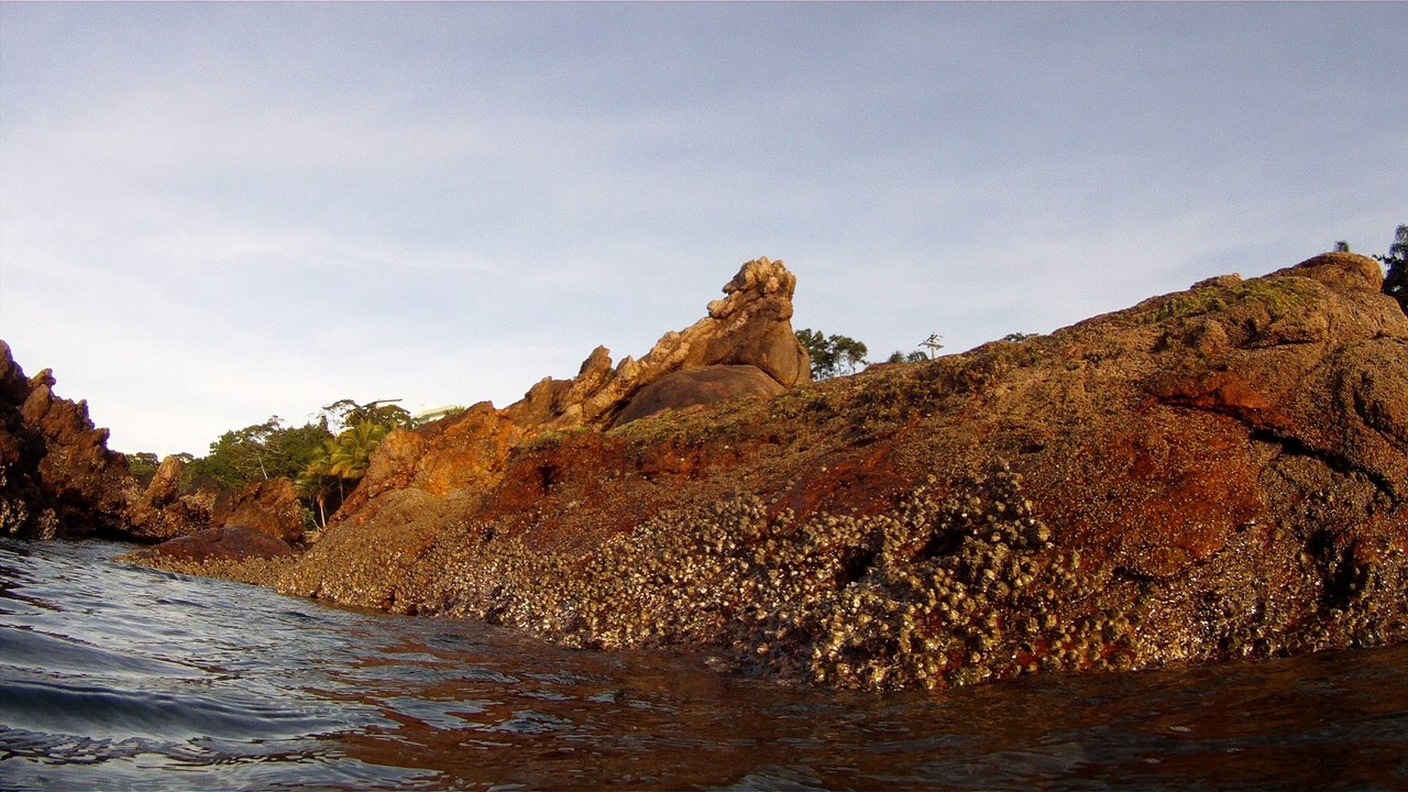 Expedição Tartaruga Marinha, Ubatuba, SP, Brasil, 2017, mares, praias, apneia contemplativa, ap