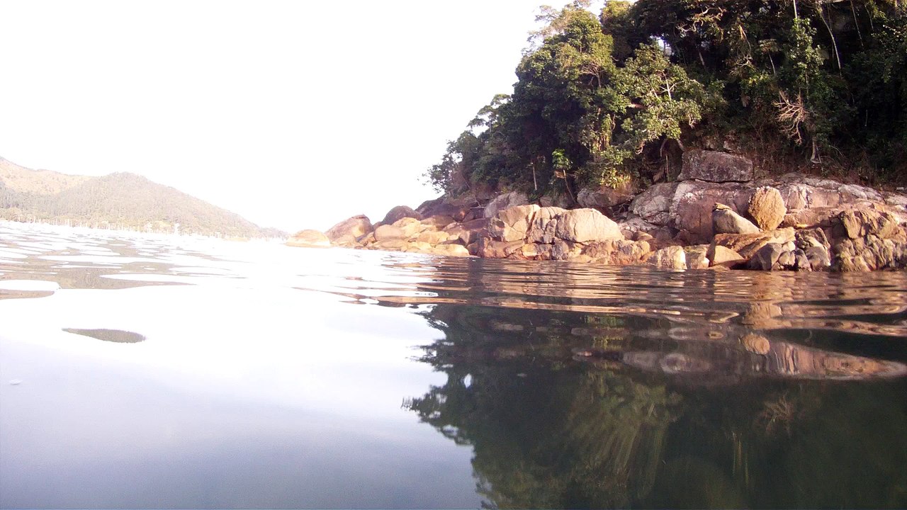 Expedição Tartaruga Marinha, Ubatuba, SP, Brasil, 2017, mares, praias, apneia contemplativa, ap