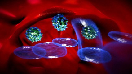 A vacinação e o sistema imunológico