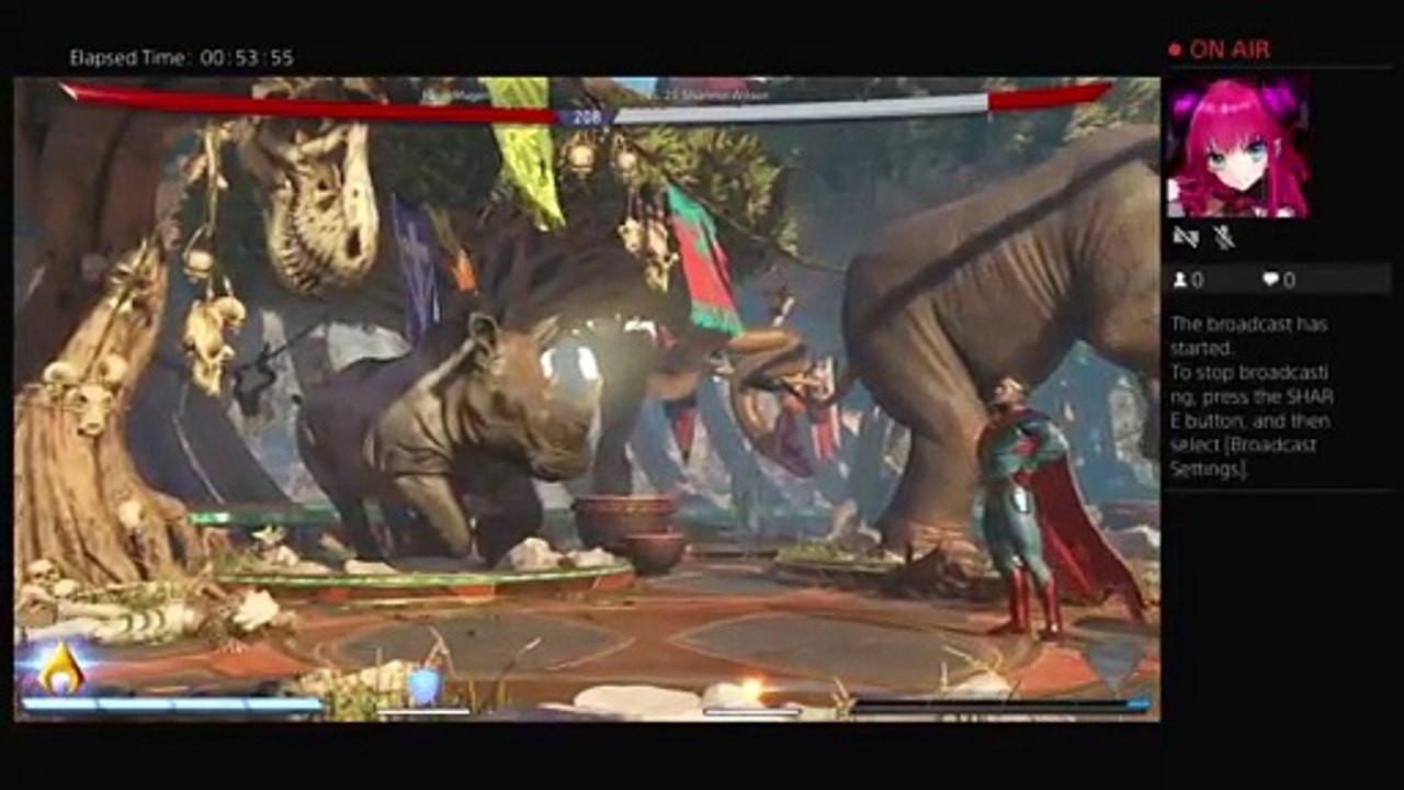Rose Sheperd's Live PS4 Broadcast (13)