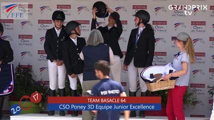 CSO Poney 3D Equipe Junior Excellence_1