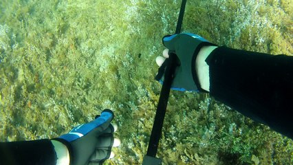 Expedição Tartaruga Marinha, Ubatuba, SP, Brasil, 2017, mares, praias, apneia contemplativa, ap