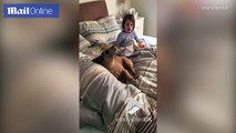 When This Dog Started Howling, Its Favorite Little Human Decided To Chime In, Too