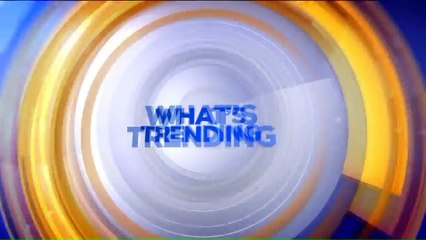 Security Won`t Let Virginia Woman Wearing `Handguns` Shirt Into Busch Gardens