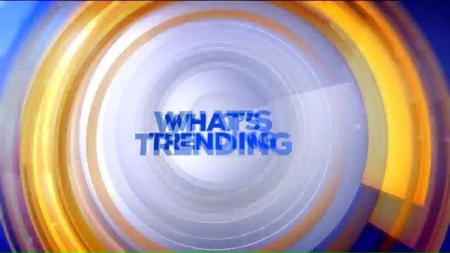 Security Won`t Let Virginia Woman Wearing `Handguns` Shirt Into Busch Gardens