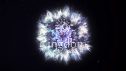 Royal Kingdom Coin - Initial Coin Offering