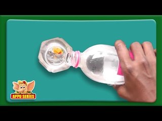 Remove a Flower from a Bottle - Learn A Trick