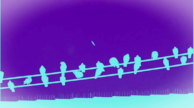 Cigar Shaped UFO Over Pigeons