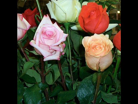 uma & saigal..mun ki baat bataoon..dhartimata.1939..music pankaj mullick