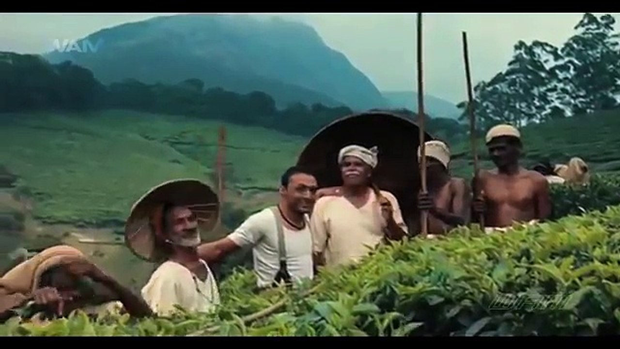 Desi Girl Hot Romance With Firangi | Nandita Das Hot Unseen Videos | Latest Hot YouTube Vi