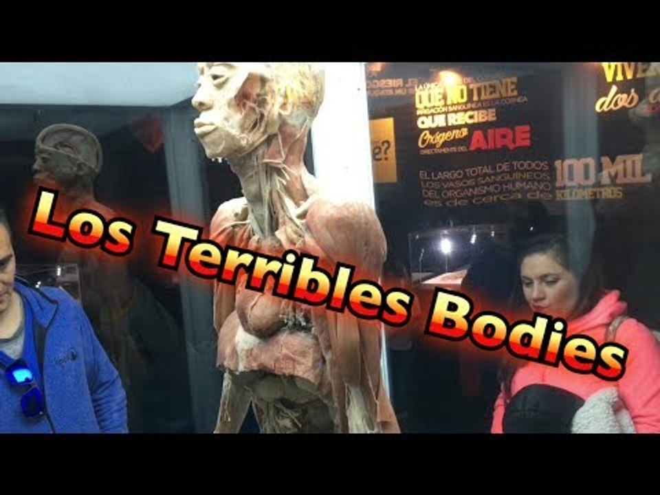 Los Terribles Bodies