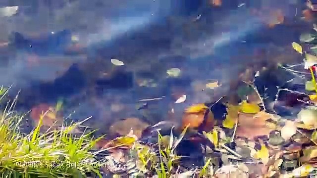 Amazing Sights & Sound of Belarus, Minsk...for a Perfect Vacation!