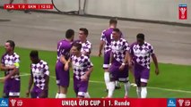 Austria Klagenfurt 2:1 Sankt Pölten (Austrian Cup 18 July 2017)