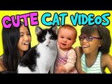 Kids React Bonus - Cute Cat Videos