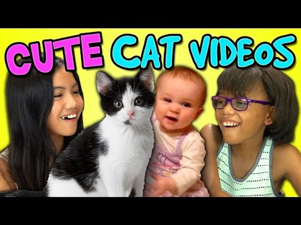 Kids React Bonus - Cute Cat Videos