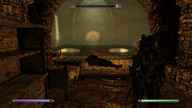 Skyrim: Thief or Mage?
