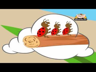 Nursery Rhyme - Lady Bug