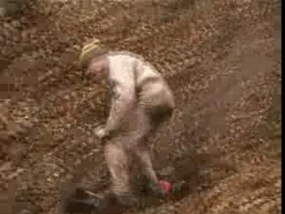 The crash test bullit 3