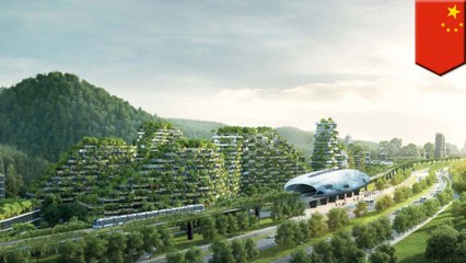 China is building the world’s first Forest City to combat air pollution