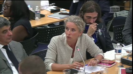 Rétablissement de la confiance dans l'action publique : intervention de Delphine Batho en Commission des lois