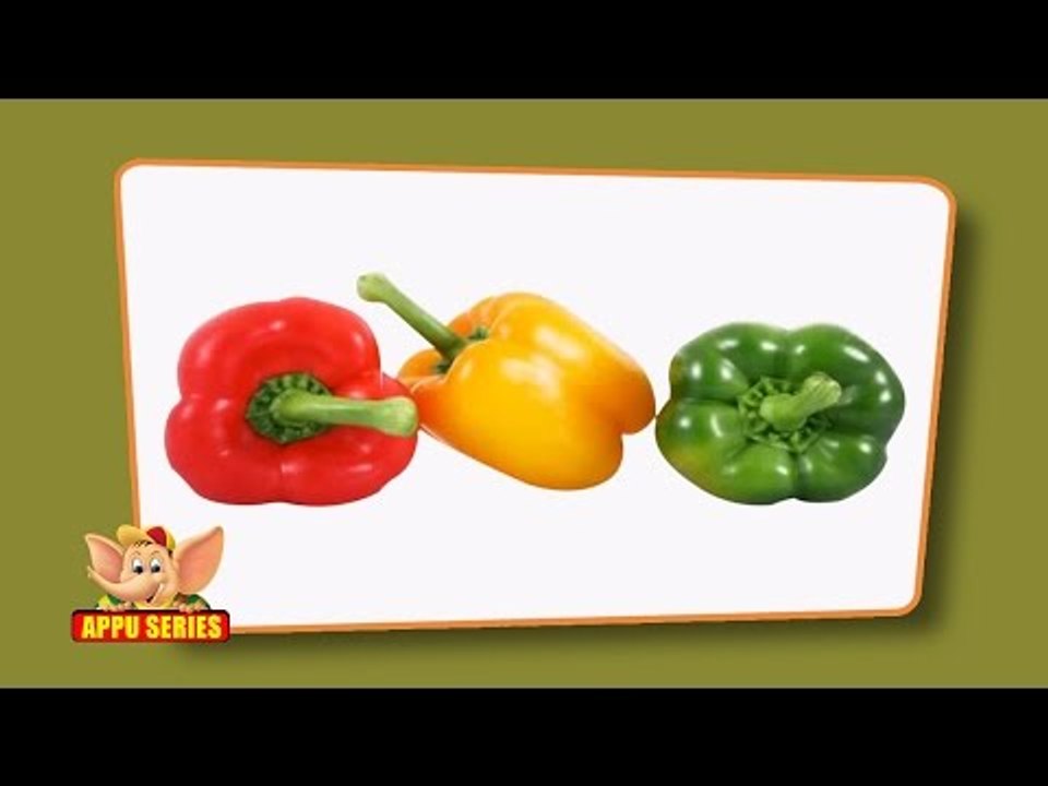 Flap Book - Vegetables