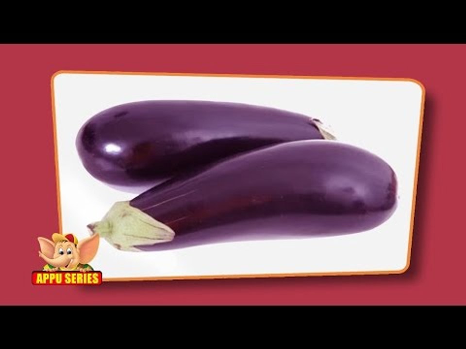 Flap Book - Fruits