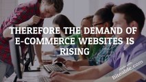 Ecommerce Development Services