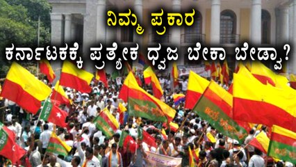 Karnataka : Dispute For a Separate Flag | Do We Really Want Separate Flag For Karnataka?