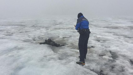 1942'de kayboldular 2017'de bulundular