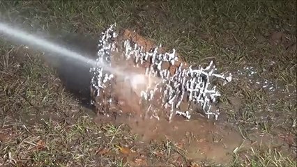 Crazy Ant Art with motlen aluminium in Ant nest