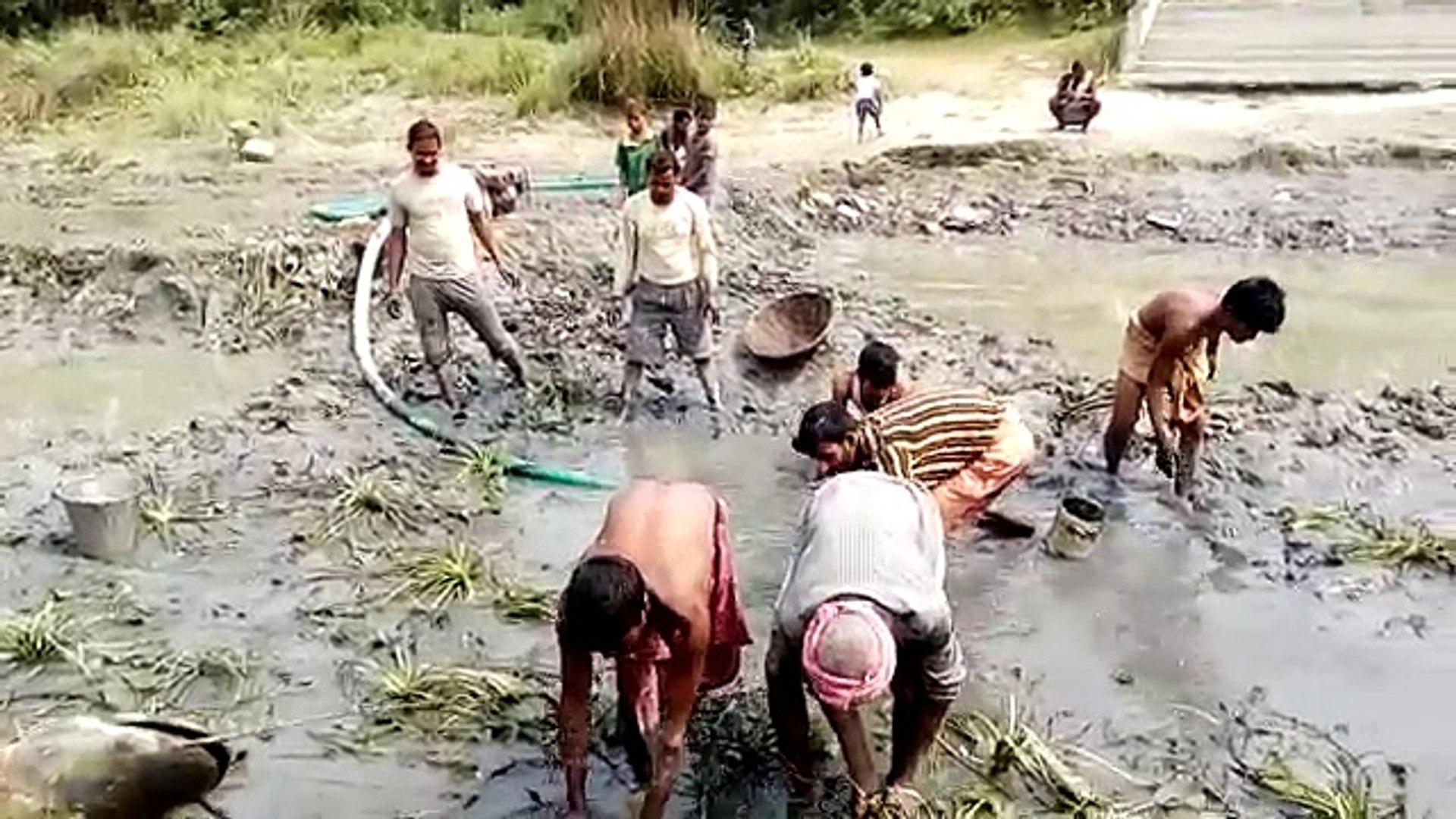 Indian village people fishing / indian fishing