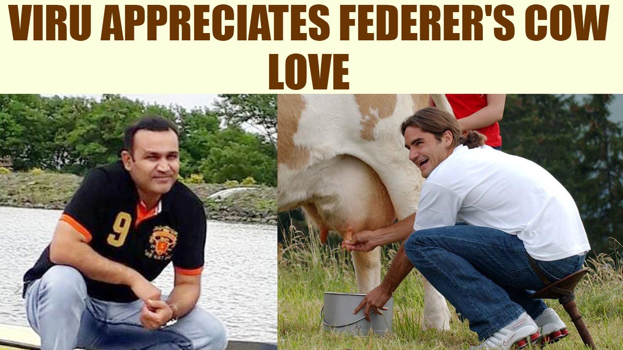 Virender Sehwag posts pictures of Roger Federer with cows on twitter | Oneindia News