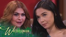 Wildflower: Emilia and Ivy are in good terms again | EP 110