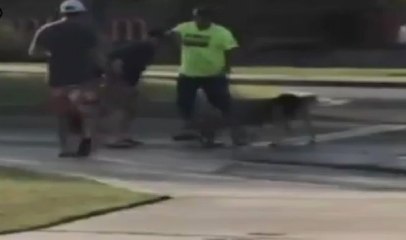 Köpeği Kurtardı, Kolunu Kaptırdı