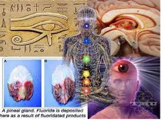 L'un des plus grands secrets de l'humanité :The secrets of the pineal gland