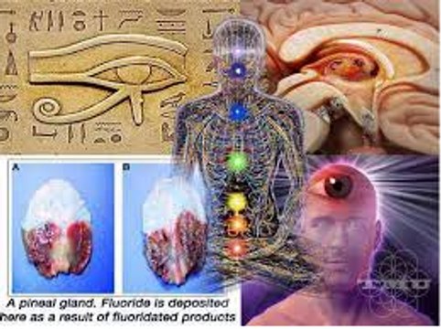 L'un des plus grands secrets de l'humanité :The secrets of the pineal gland