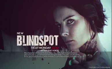 Blindspot - Promo 1x11