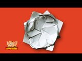 Origami - How to Make an 8 Petal Lotus