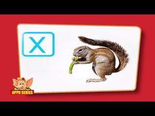 Flash cards for children - Animal ABC