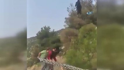 Keçinin Bu İşi Nasıl Başardığı Merak Konusu Oldu- Yüksek Gerilim Hattında Mahsur Kalan Keçiyi...