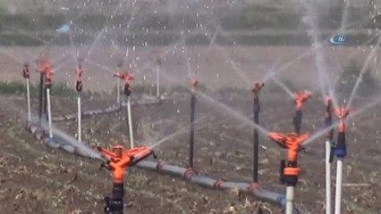 Gıda Üretiminin Sürdürülebilirliği İçin Köyden Kente Göç Önlenmeli