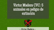 Victor Madera CVC 5 animales en peligro de extinción