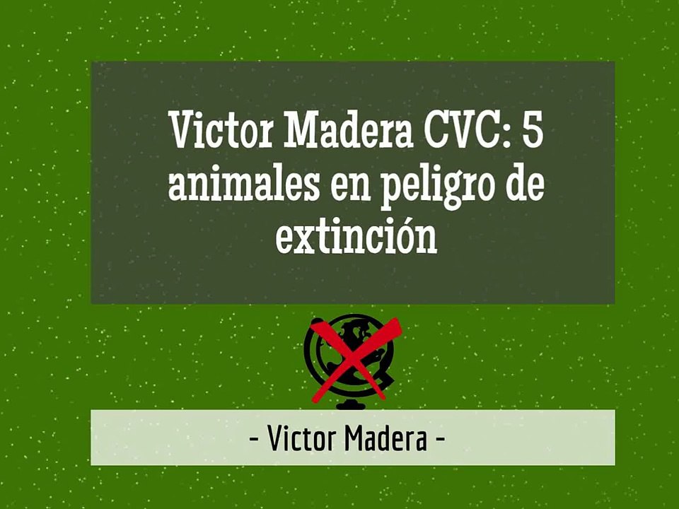 Victor Madera CVC 5 animales en peligro de extinción