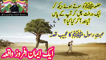 محبتِ رسول ﷺ کا عجیب قصہ | ایک درخت جو چل کر نبی پاک کے پاس آیا