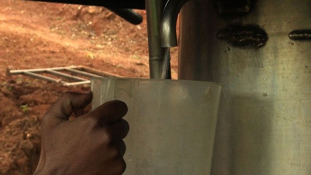 Rwanda: les huiles essentielles pour relancer l'agriculture