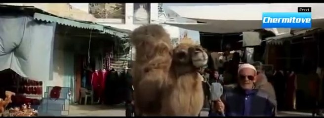 sabri mesbeh 3omri ma nsit