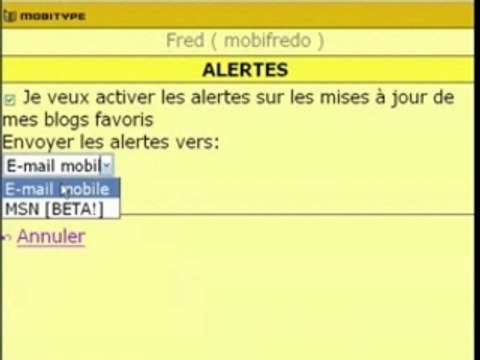 Mobitype - Vos blogs préférés sur votre mobile (1/2)