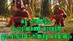 Velipadinte Pusthakam: Mohanlal's Location Video | Filmibeat Malayalam